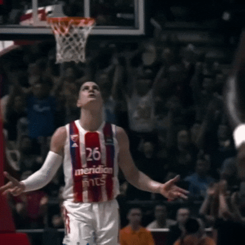 Crvena Zvezda Nedovic GIF