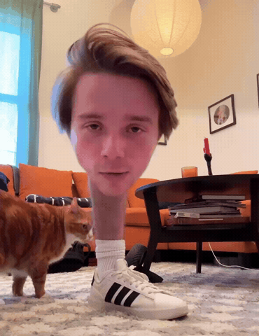 Adidas Oliver GIF