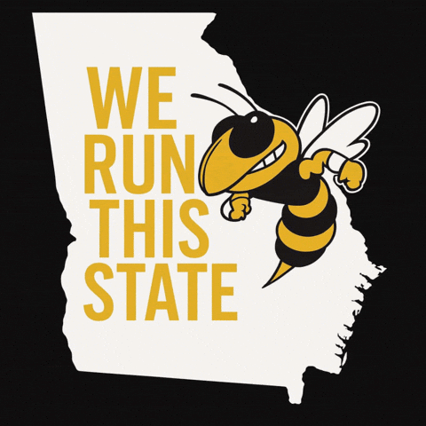 Georgia Tech Football Buzz GIF