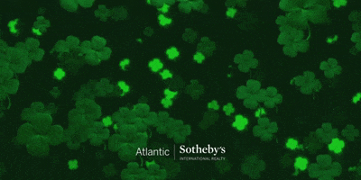 St Patricks Day Asir GIF by Atlantic Sotheby's International Realty