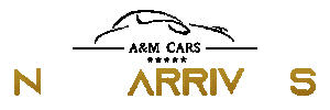 AM CARS Sticker