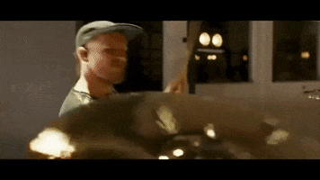 Animals GIF