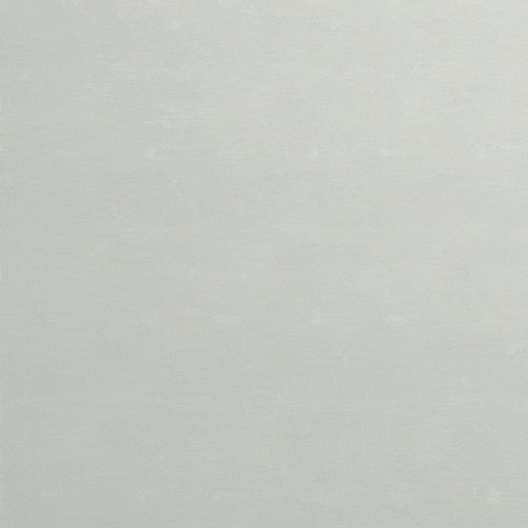 Catdance GIF
