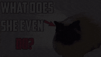 Feinfein2014 GIF