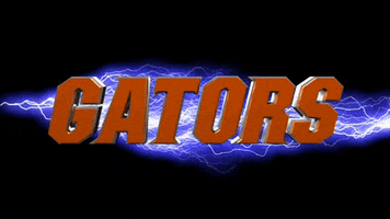 Go Gators GIF by Florida Gators