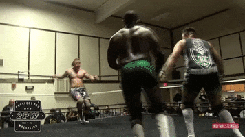 Pittsburgh GIF