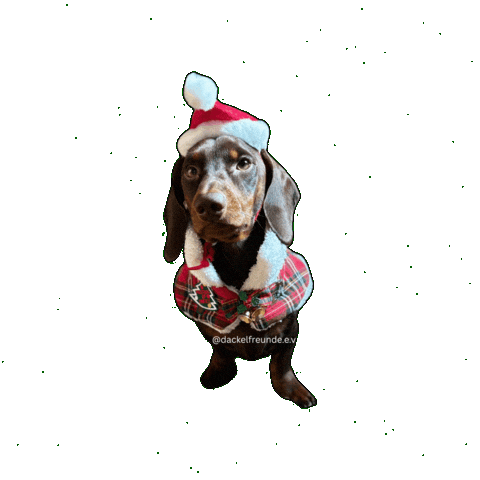 Wiener Dog Sticker by dackelfreunde