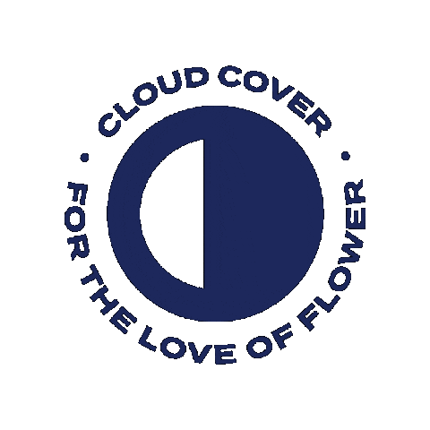 Cloud Cover Sticker