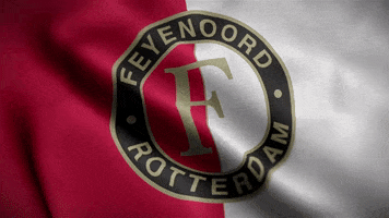 Feyenoord Rotterdam Football GIF