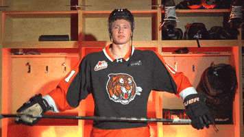 Medicine Hat Tigers GIF