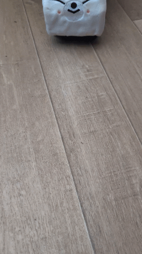 Birthday Stray Kids GIF