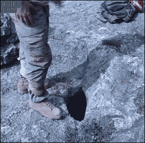 Face In Hole Gif Primogif