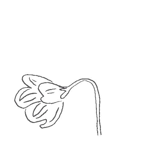 Flower Sticker