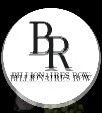 Party Celebrate GIF by Billionaires Row