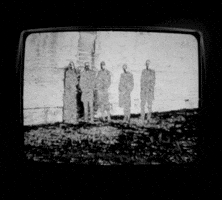 Suede GIF