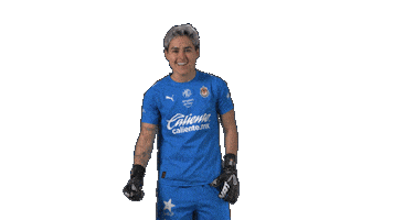 Liga Mx Futbol Sticker by Chivas Oficial