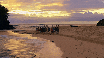 Beach Ocean GIF by Survivor CBS