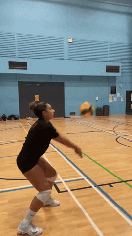 University of York Volleyball Club GIF