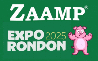 Soja Oleo GIF by Zaamp