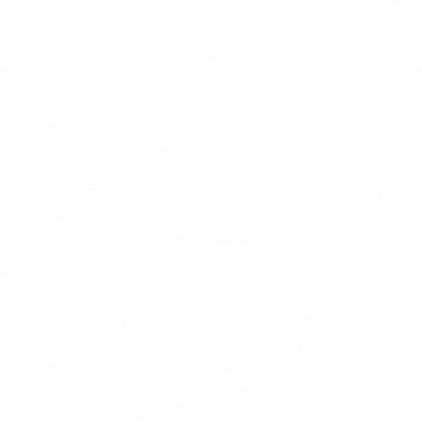 MoorSystems GIF