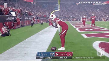 Arizona Cardinals Dance GIF by NFL