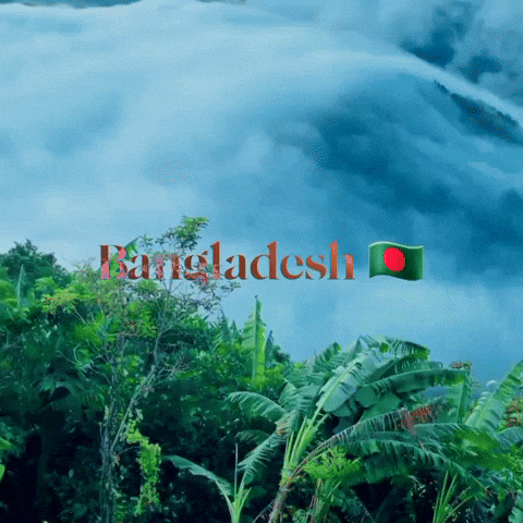 Bangladesh GIF