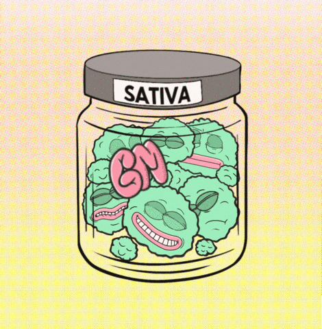 Good Morning GIF