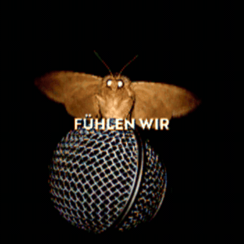 Moth Souly GIF by CUPRA_DE