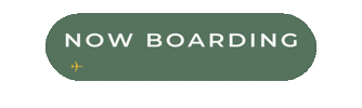 Travel Airplane Sticker by Boarding Time