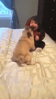 aww omg GIF by JustViral.Net