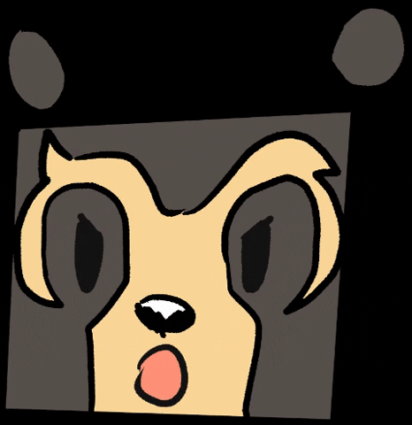 Naturaleza Oso GIF