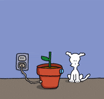 Flowers Love GIF by Chippy the Dog