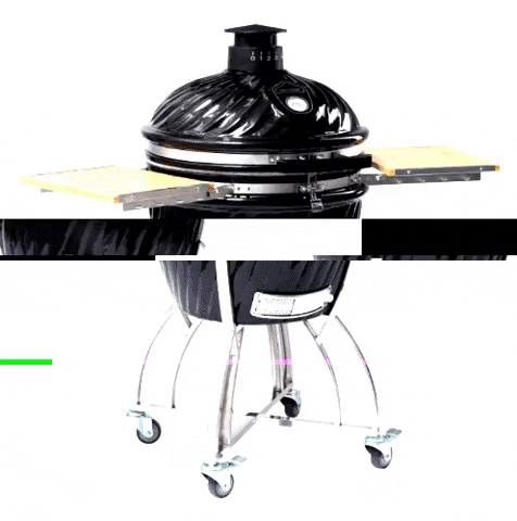 Victory Grilling GIF by BBQGuys