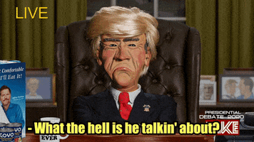 Donald Trump What GIF by Jeff Dunham