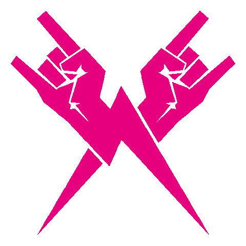 HOLESHOT PUNX Sticker