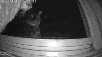 Omg GIF