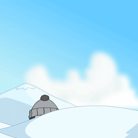 Snowboarding Snow Day GIF by Pudgy Penguins