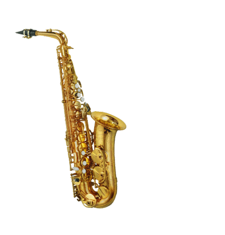 pmauriatmusic Sticker