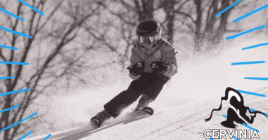 Valle Ski Service Cervinia GIF