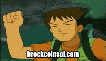BrockOnSol pokemon lets go rain winner GIF