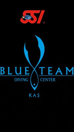 Blueteam Dalış GIF