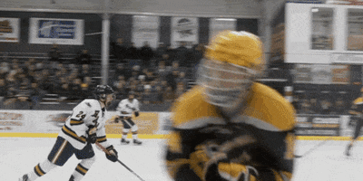 Golden Bears Check GIF by Hockeyland