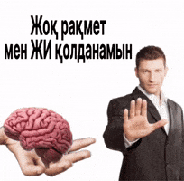 Қазақша Мемдер GIF