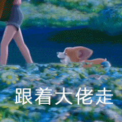 Animation GIF