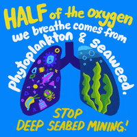 Happy World Ocean Day Gifs Get The Best Gif On Giphy