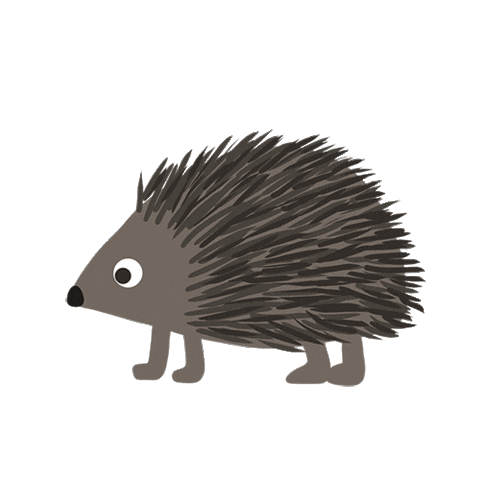 Illustration Hedgehog Sticker