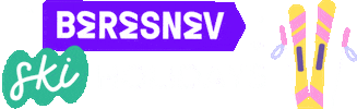 Party Christmas Sticker by beresnev games