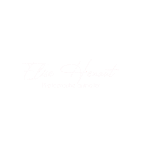 Signature Elise Sticker by ehphotographie