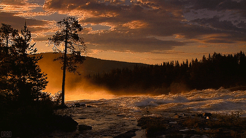 river dawn GIF