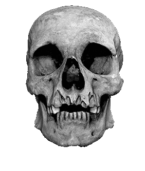 Skull Goth Sticker by Wytchlab